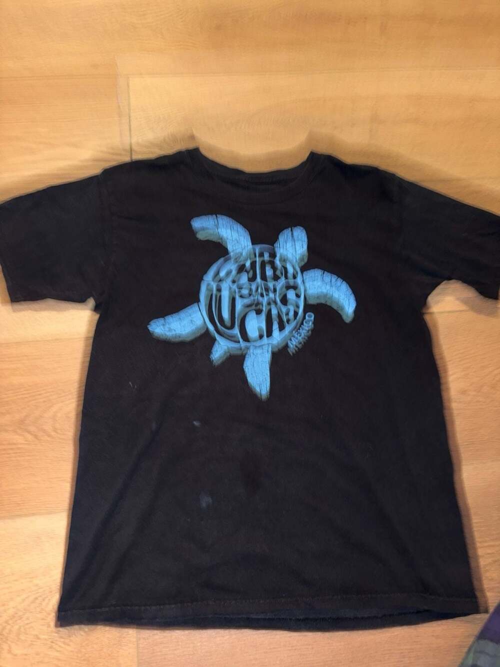 Vintage Cabo San Lucas Mexico Blue Sea Turtle Graphic T-Shirt